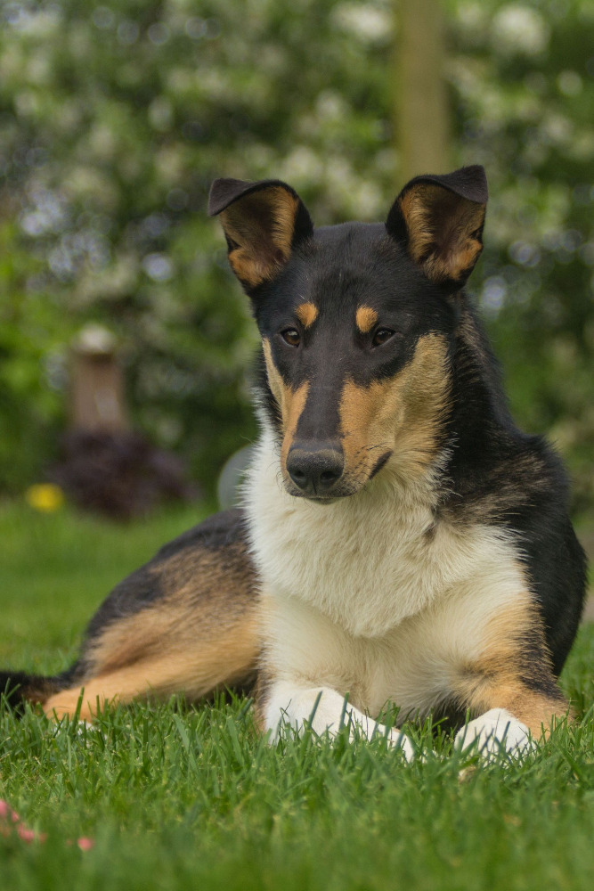 All Inclusive vom Feueropal